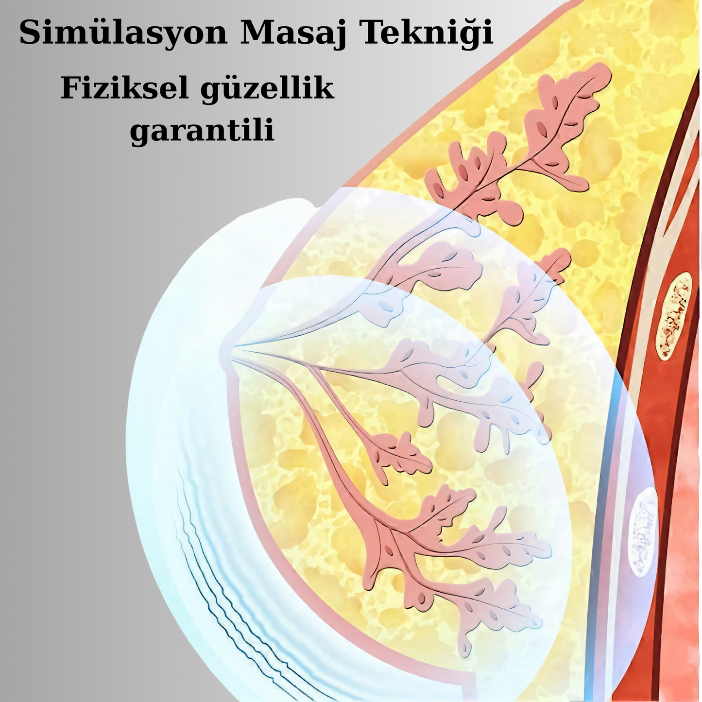 ZENWİXO™- Göğüs Büyüten Masaj Sütyeni